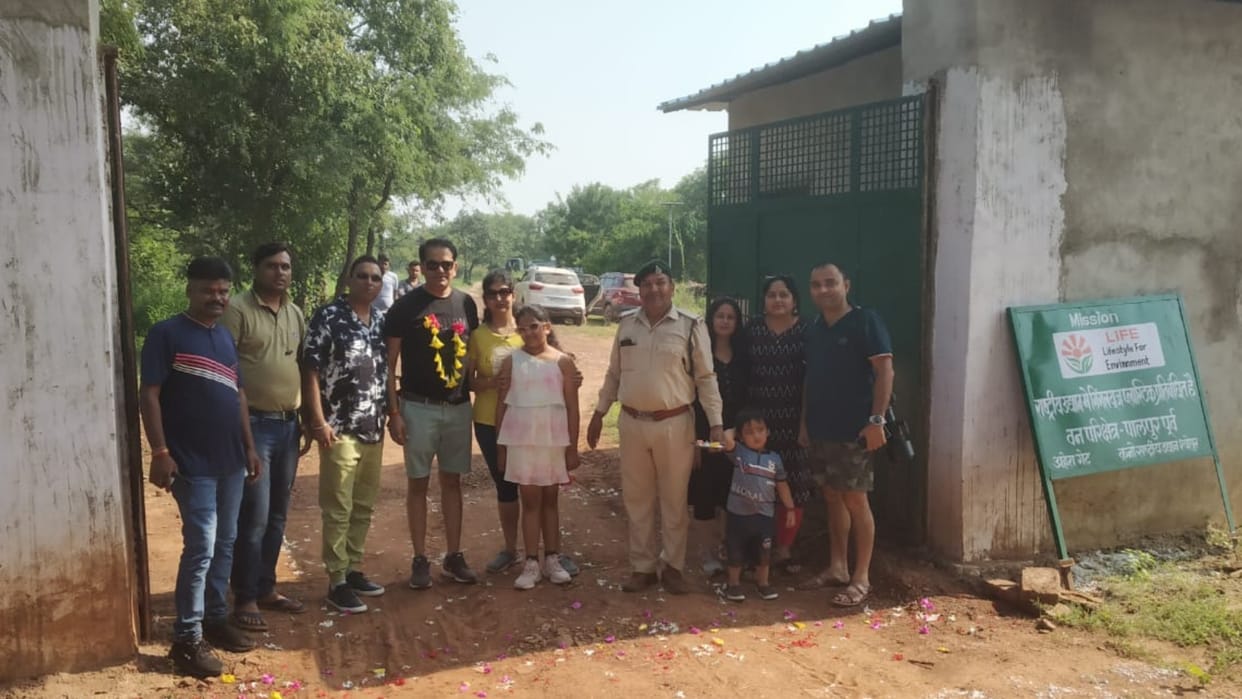 Kuno National Park: Good news for tourists, two gates of Kuno opened, will have to wait to see leopards.