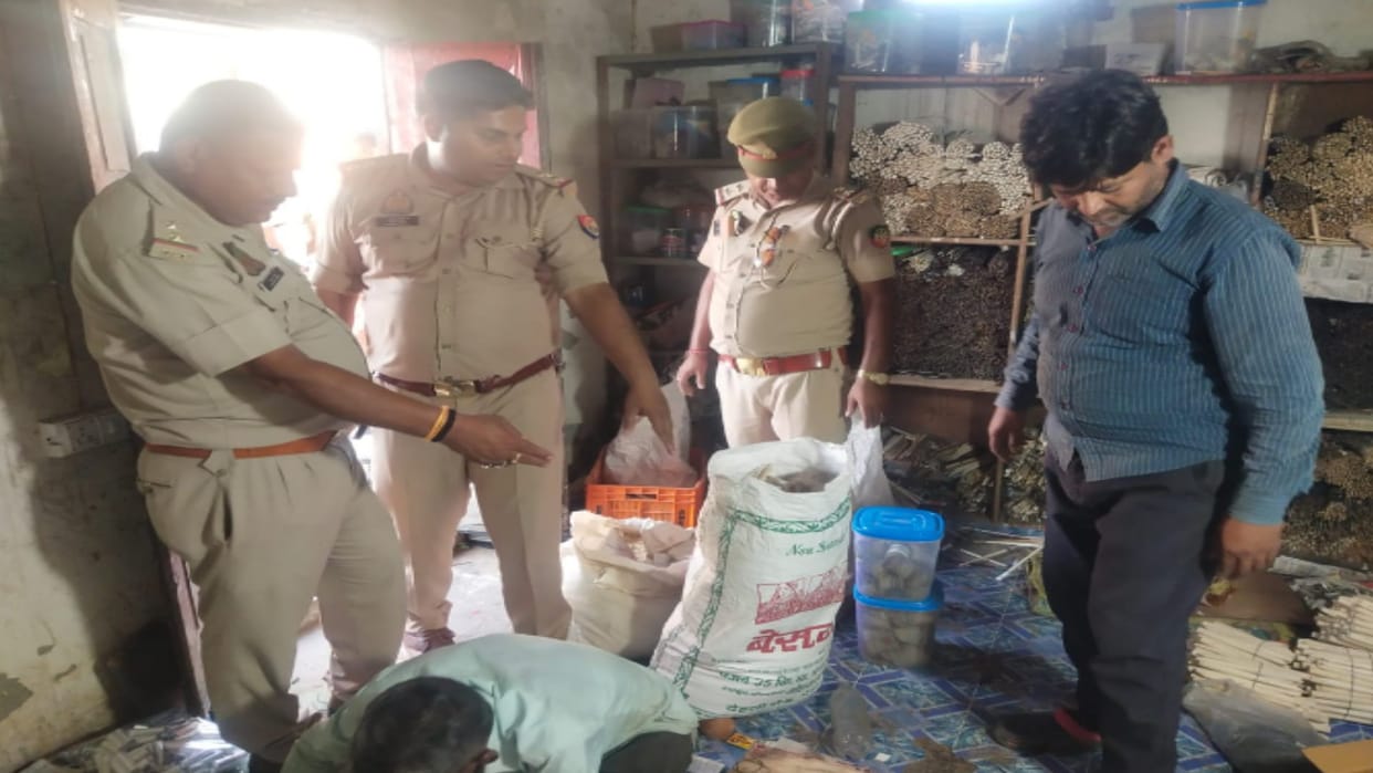 Meerut police have arrested two accused in mongoose hair smuggling case