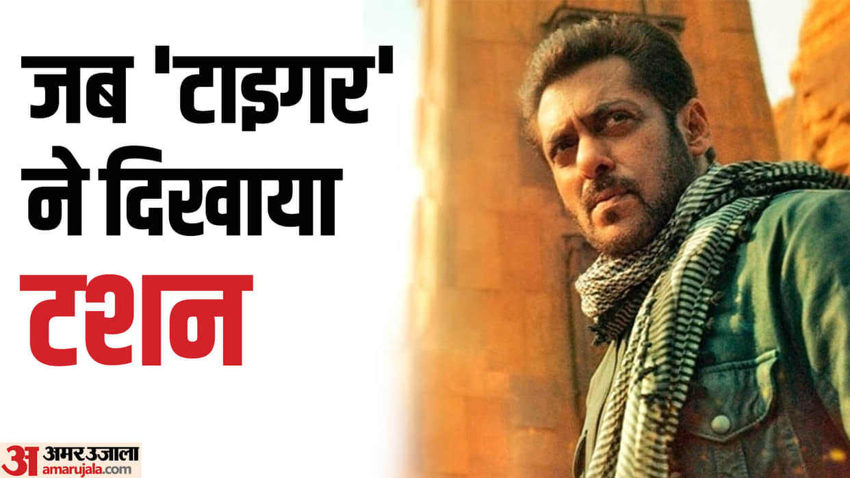 Tiger 3 Actor Salman Khan Rejected These Blockbuster Movies Bajirao Mastani Ghajini Chak De India DDLJ