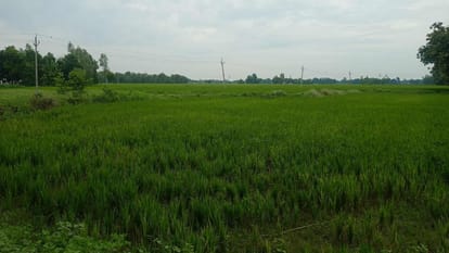 Deoria SIX Murder Case Inside Story Five people killed Of Same Family land dispute one man other Family