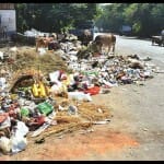 सड़क किनारे पड़ा कूड़े का ढेर