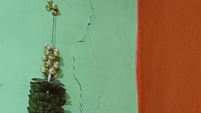 Earthquake: बरेली मंडल में भूकंप के झटके, फतेहगंज पश्चिमी में मकान की दीवार में पड़ी दरार Earthquake in Bareilly Pilibhit