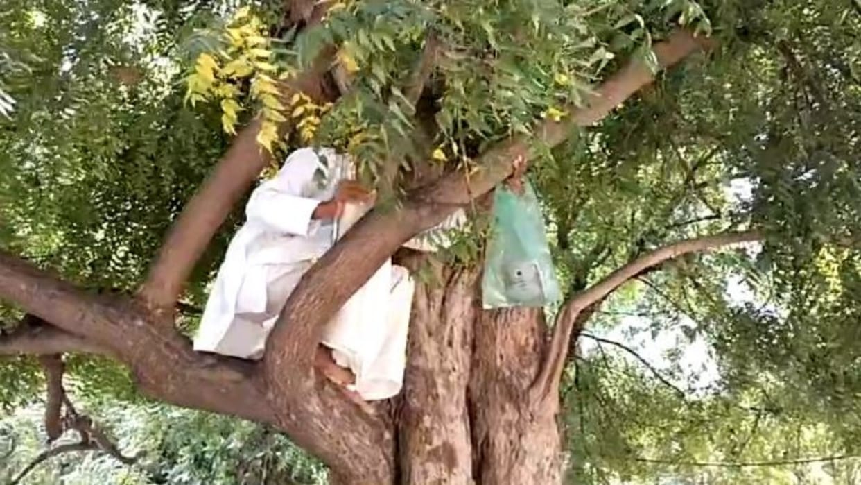 Gwalior News An elderly man reached the public hearing climbed a tree tried to commit suicide