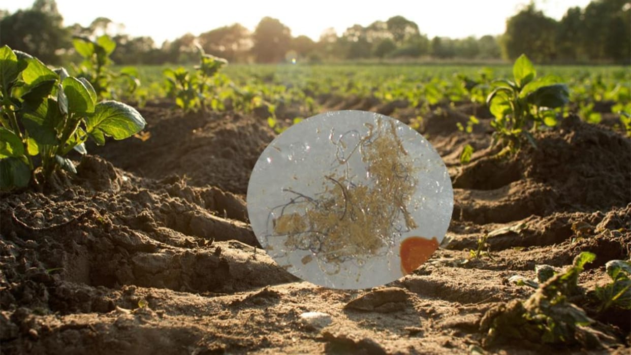 Concern: Increasing plastic use in agriculture reducing crop yield adversely affecting health