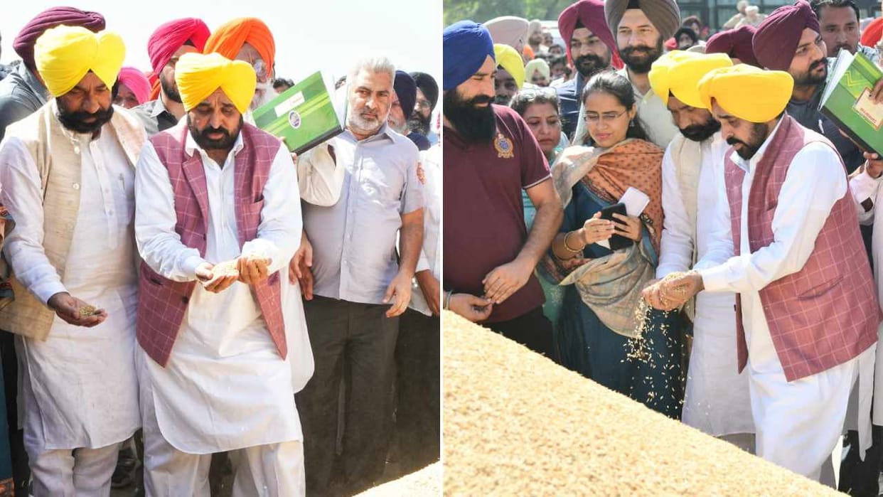 Punjab Chief Minister Bhagwant Mann formally started paddy procurement season
