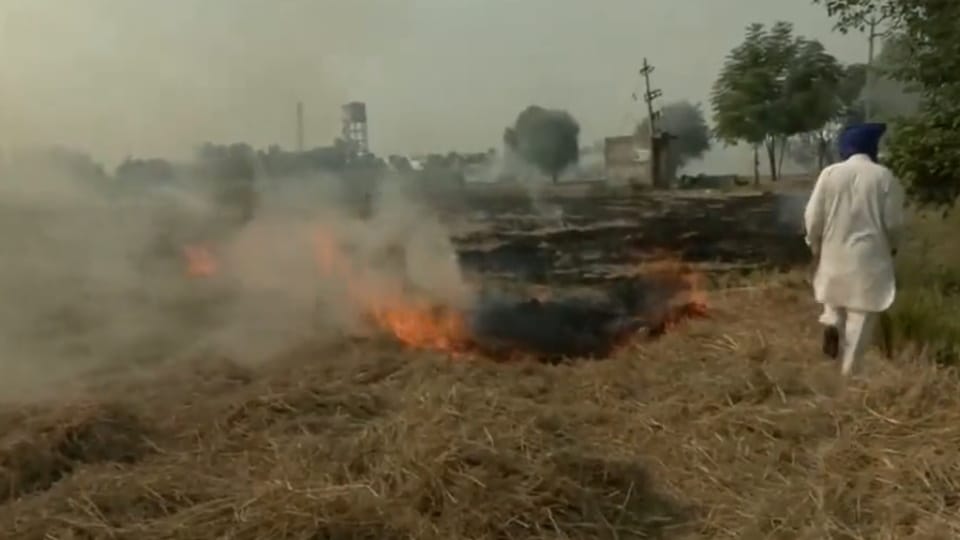 105 cases of stubble burning reported in Punjab in one day