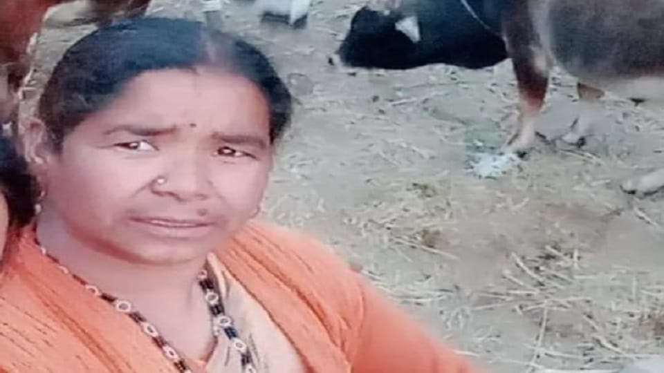Uttarakhand: Woman dies in tiger attack in Pauri