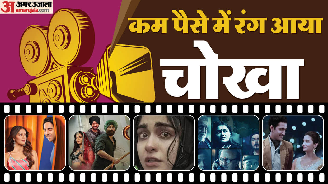 These Low Budget Movies Broke Earning Record Dream Girl 2 Gadar 2 The Kerala Story The Kashmir Files