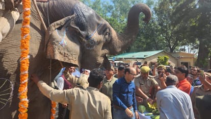Corbett Tiger Reserve Gomti Elephant  and Brandy Dog retired today grand farewell ceremony held