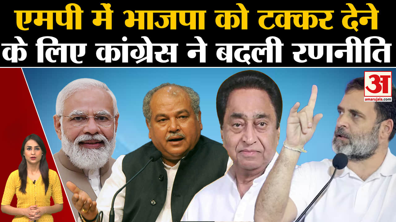 एमपी चुनाव