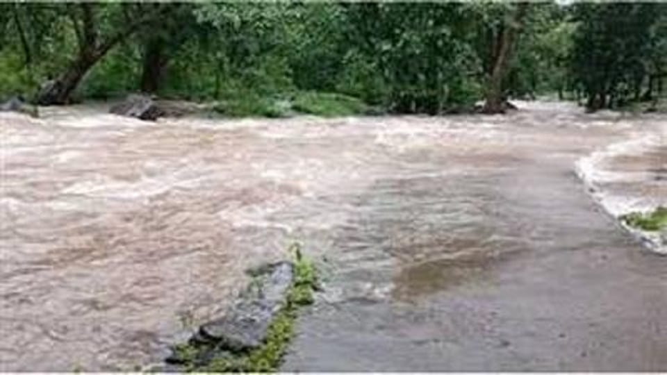woman died after being swept away while crossing drain in Ambikapur