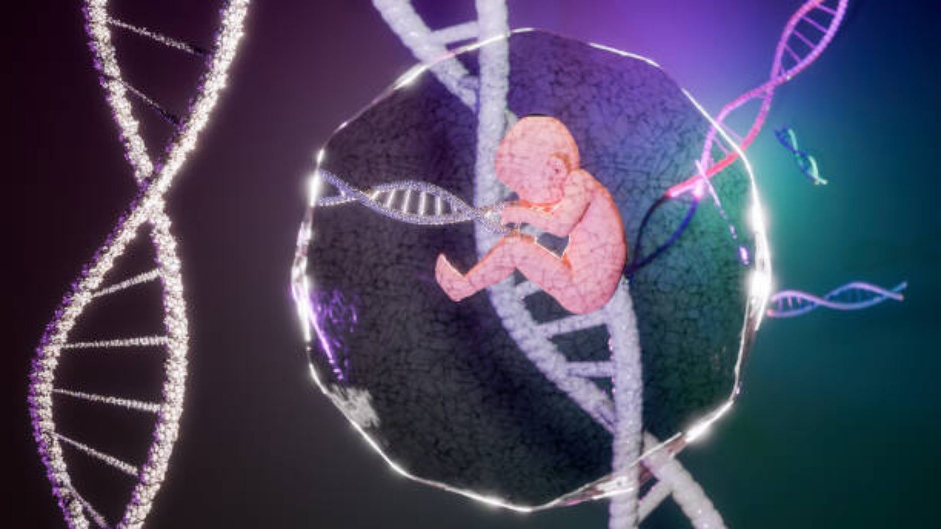 Scientists Create Model Of Human Embryo Without Eggs Or Sperm Human ...