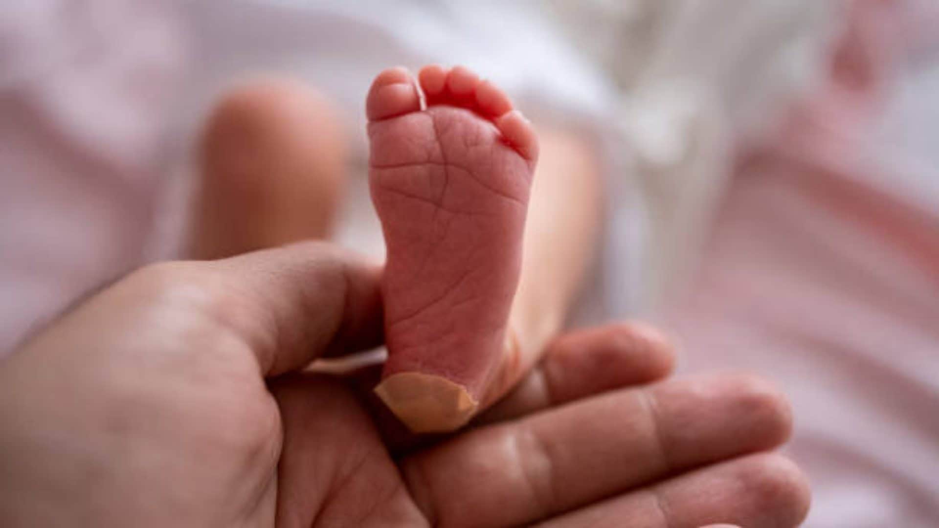 scientists create model of human embryo without eggs or sperm human reproduction