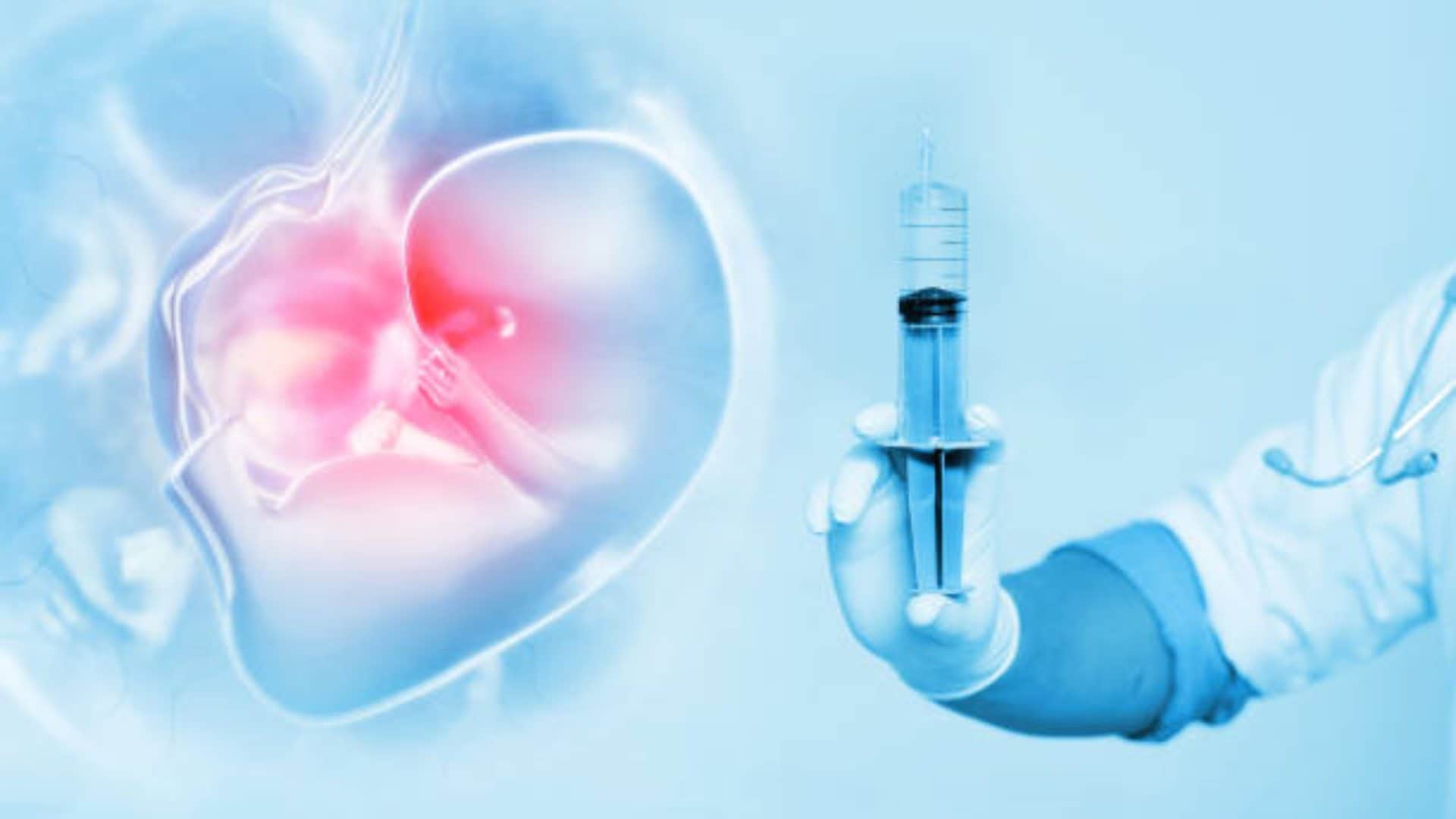 scientists create model of human embryo without eggs or sperm human reproduction