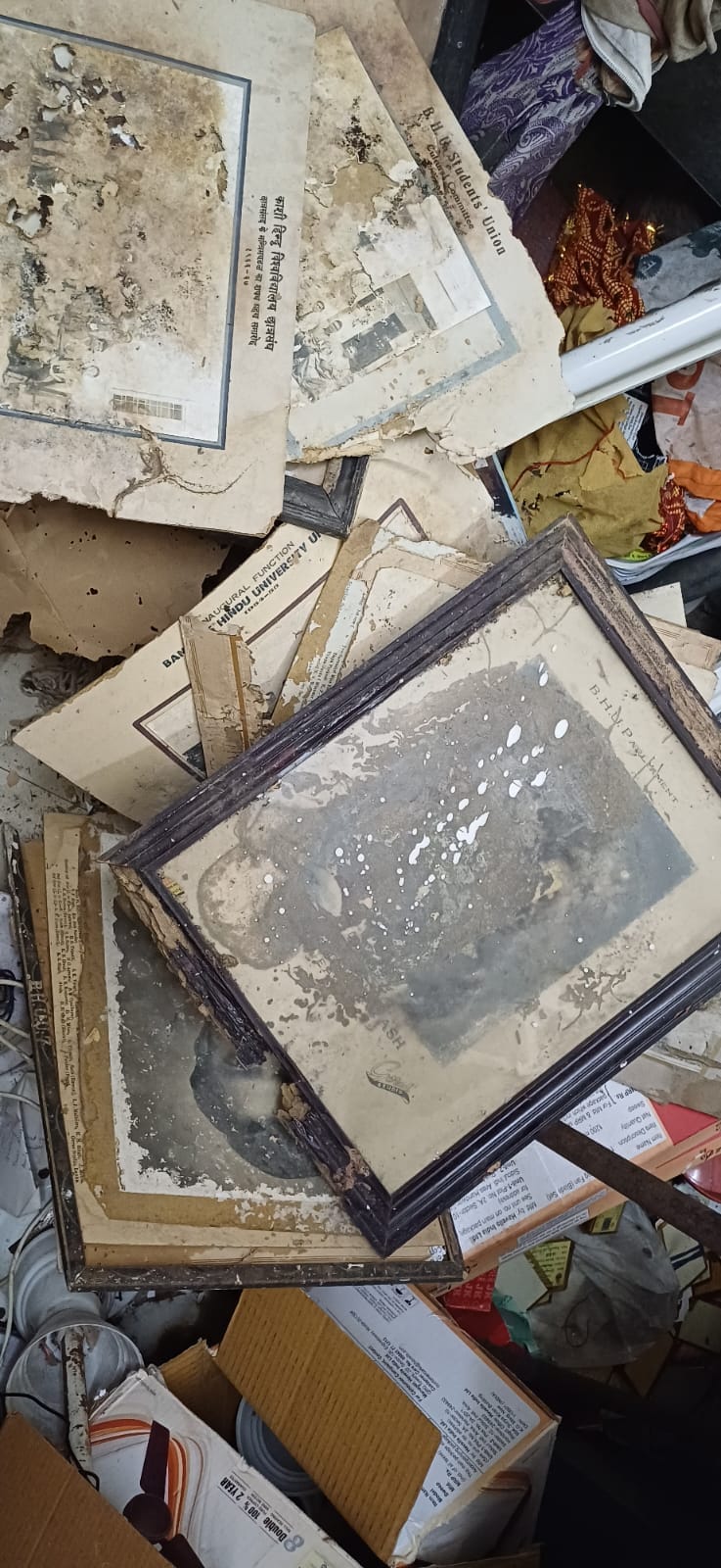 Termites on pictures of Pandit Govind Malviya, former Prime Minister Pandit Jawahar Lal Nehru, Mother Teresa