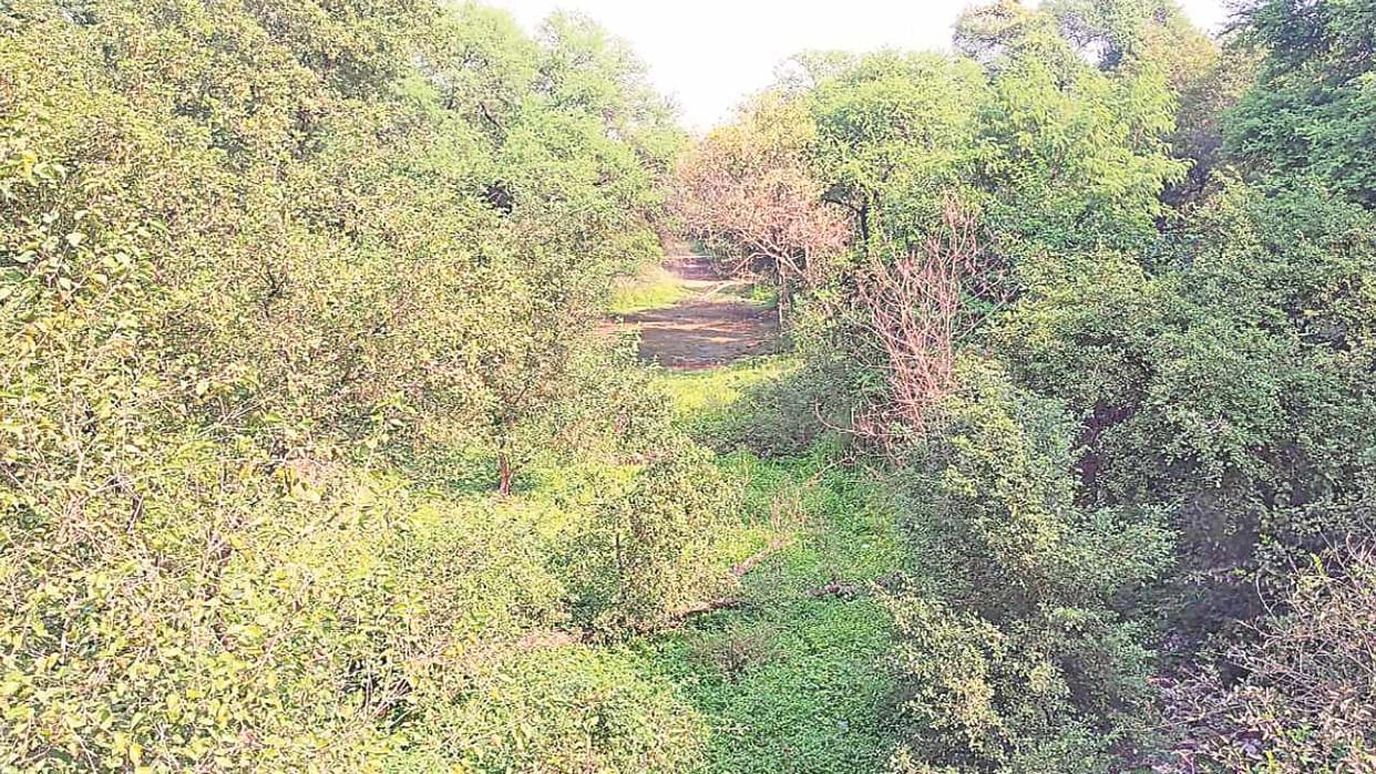 Read ground report on Satluj Yamuna Link Canal