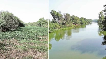 Read ground report on Satluj Yamuna Link Canal