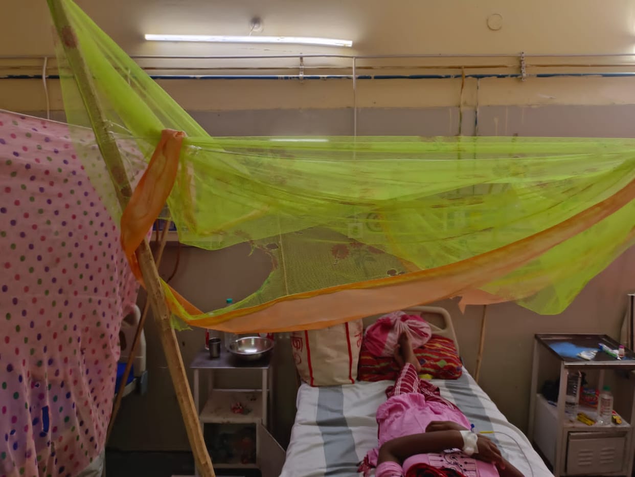 Holes in the mosquito net of dengue ward due to negligence