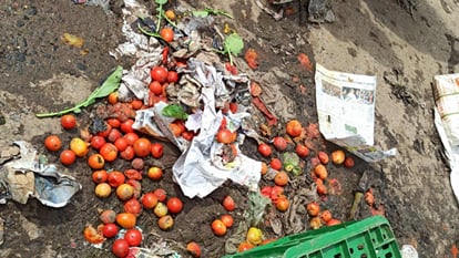 आसमान से जमीन पर उतरा: दोहरे शतक पर हो रही थी तस्करी..अब मंडी में पड़ा सड़ रहा टमाटर Smuggling happening on double century now tomatoes rotting in market
