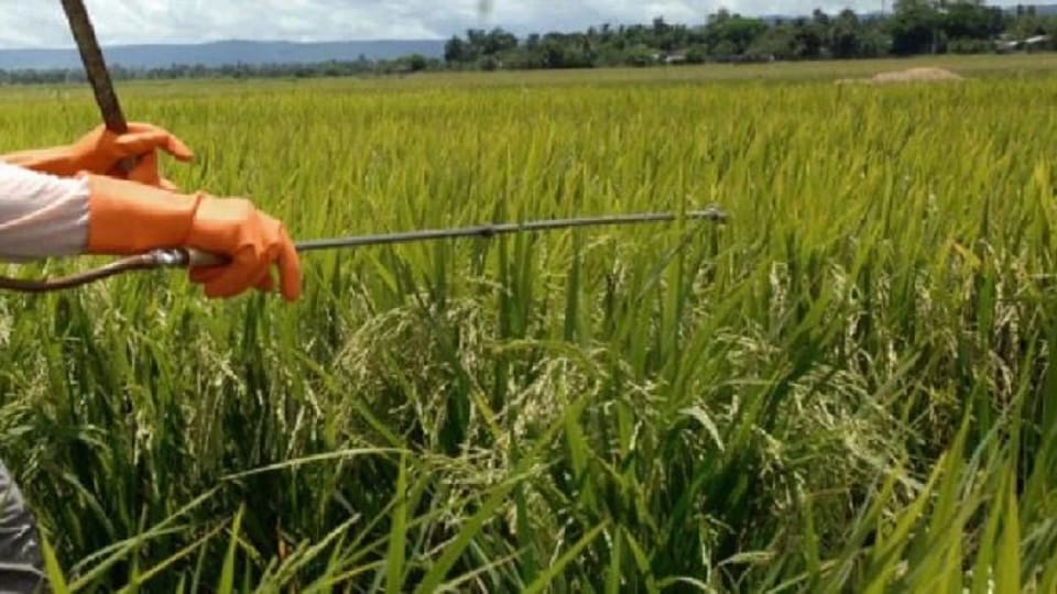 Ban on selling of 10 types of pesticides for two months in Pilibhit