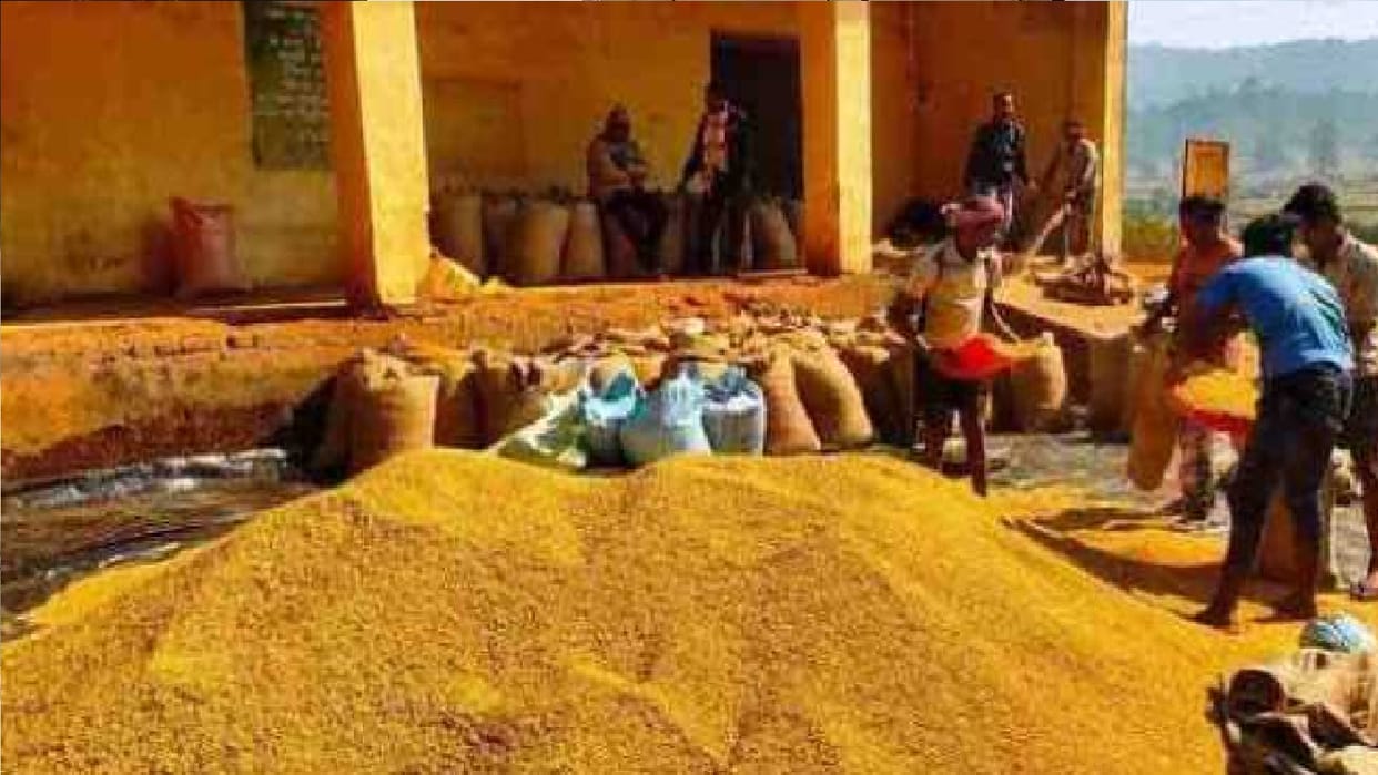 Chhattisgarh: Paddy procurement will start from November 1