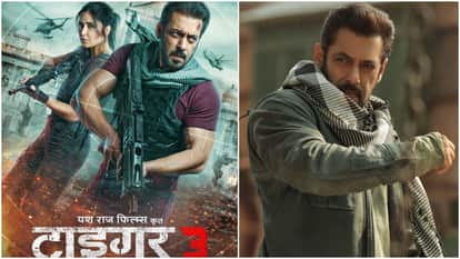 टाइगर 3