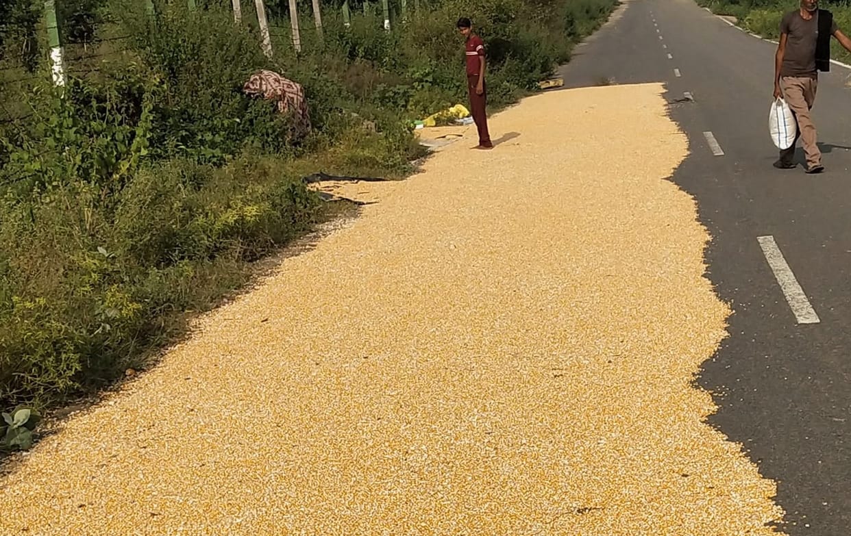 Farmers spread maize on the road, bike slipped, couple and two children injured, did not heed even UPEDAs warn