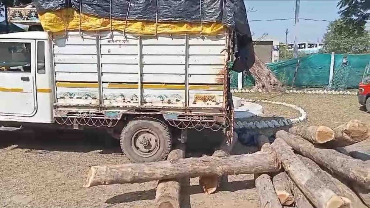 Teak wood being smuggled in Sehore Shaheedganj was caught by Forest Division team