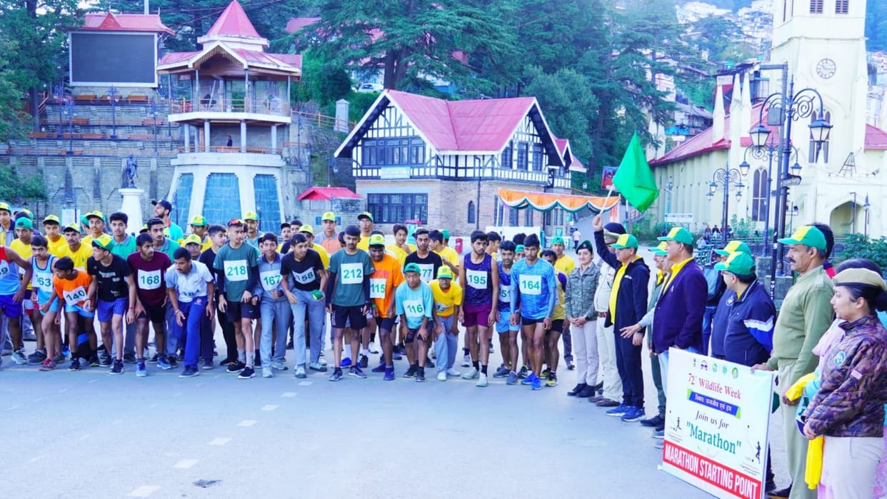 Wildlife Week Marathon from ridge Maidan Shimla To Summerhill Shimla