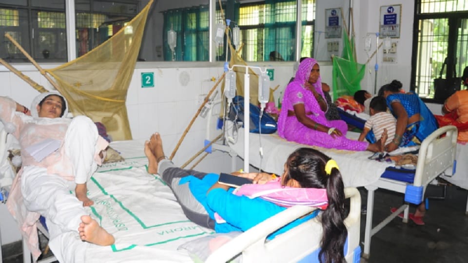 Amroha: Three people including a student died due to fever, seven dengue patients were found