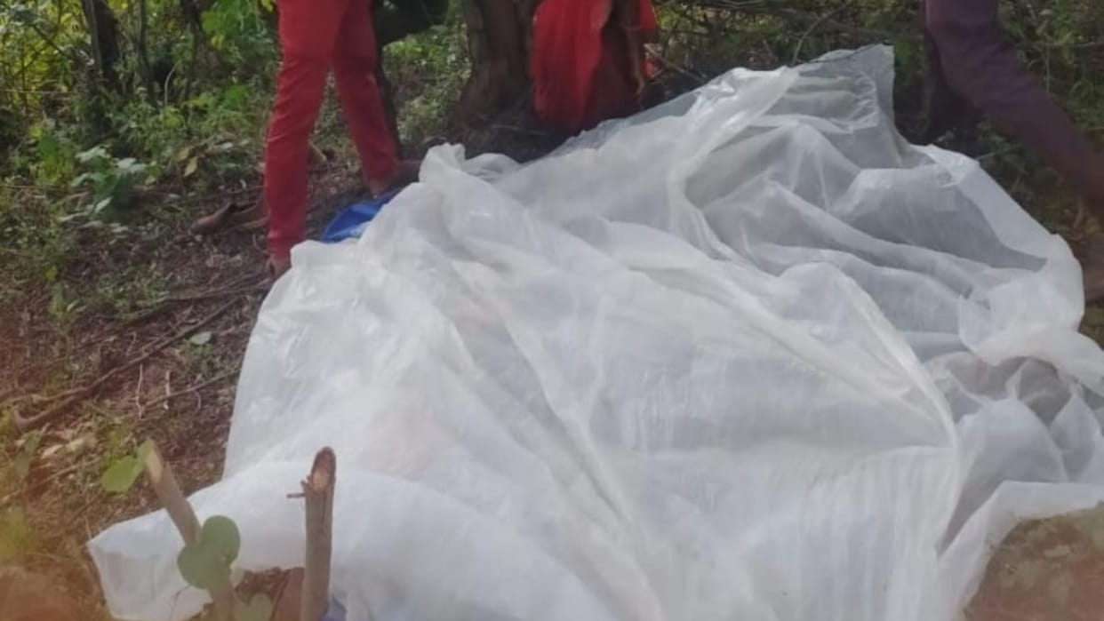 Chhatarpur: Lover couple missing from home hanged themselves bodies found hanging from a tree in the forest