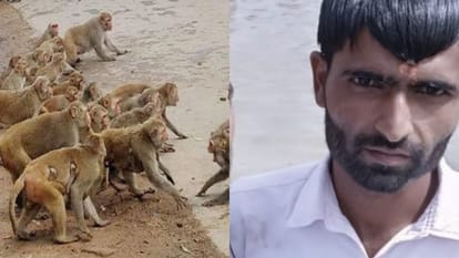 man dies due to bike slips while trying to escape from monkey on road in Budaun