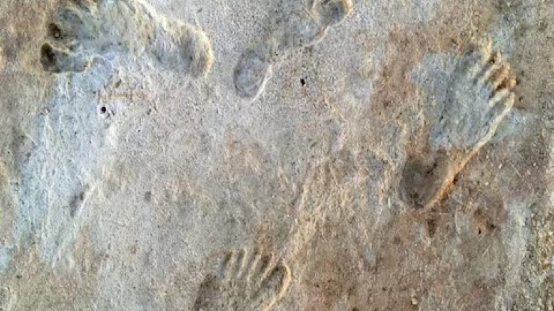 Oldest Human Footprints Found Here Are 23 Thousand Years Old Discovery ...