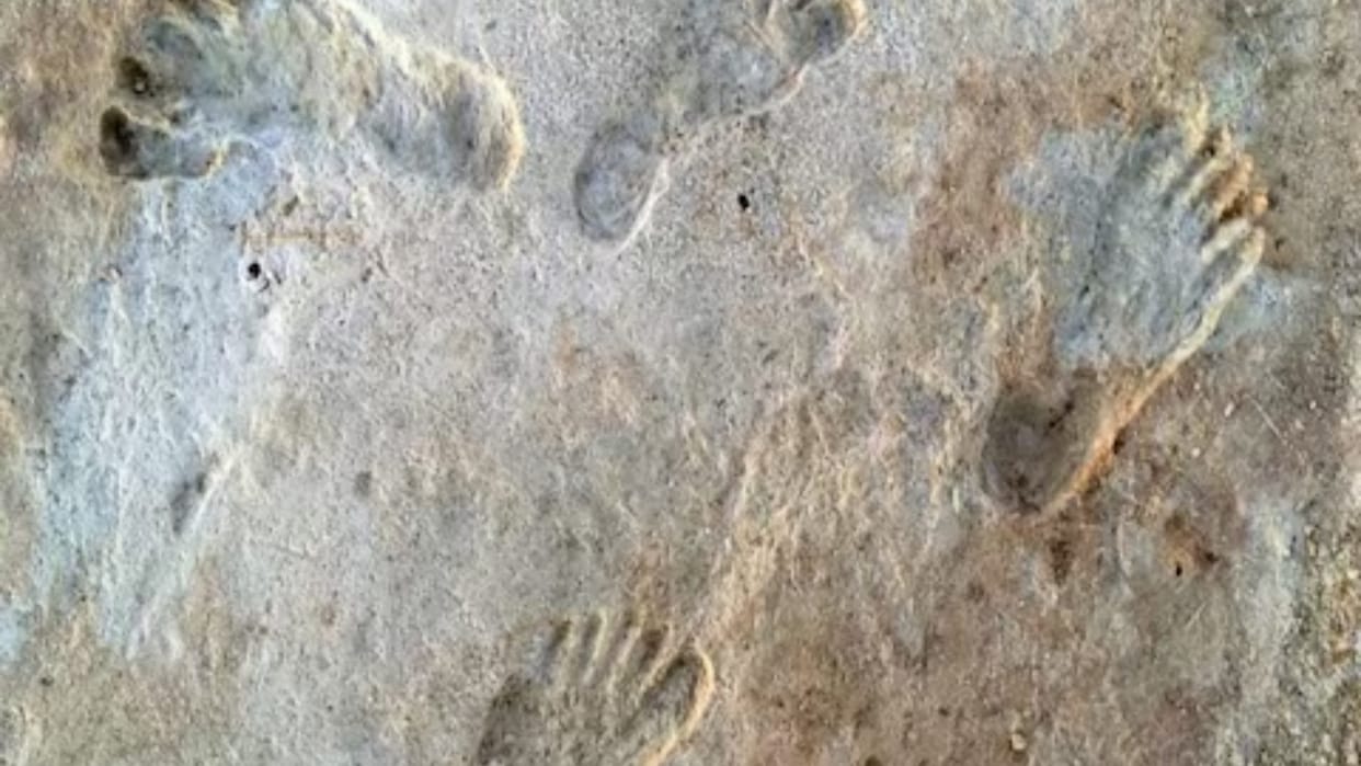 oldest human footprints found here are 23 thousand years old discovery changed the thinking of archaeologists