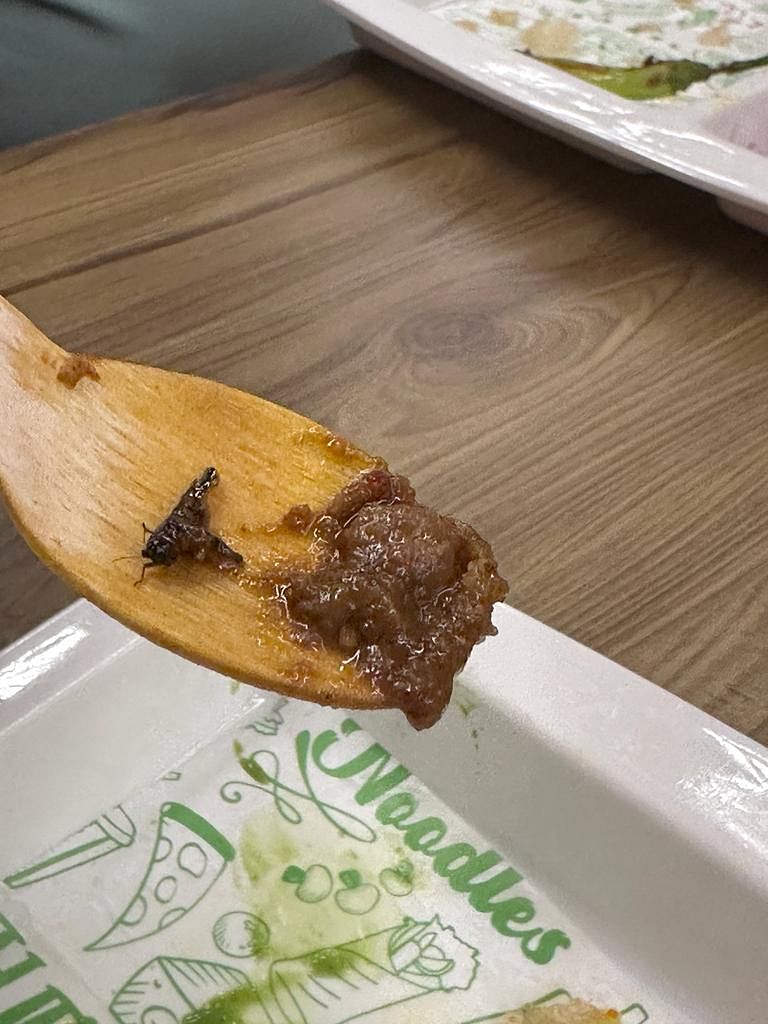 Bhopal News: Insect found in Chole Bhature of Bhopal restaurant, customer complained