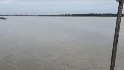 Bihar: बागमती नदी के उफनाने से दोनों किनारों पर शुरू हुआ कटाव; किसानों की फसल और बहुमूल्य पेड़ पानी में समाए Erosion started on both banks due to swelling of Bagmati river in Sheohar; crops and valuable trees submerged