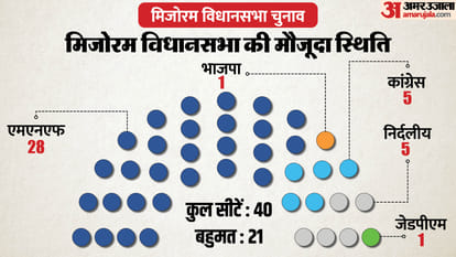 Mizoram Election Voting: Check Poll Timing, Full Details