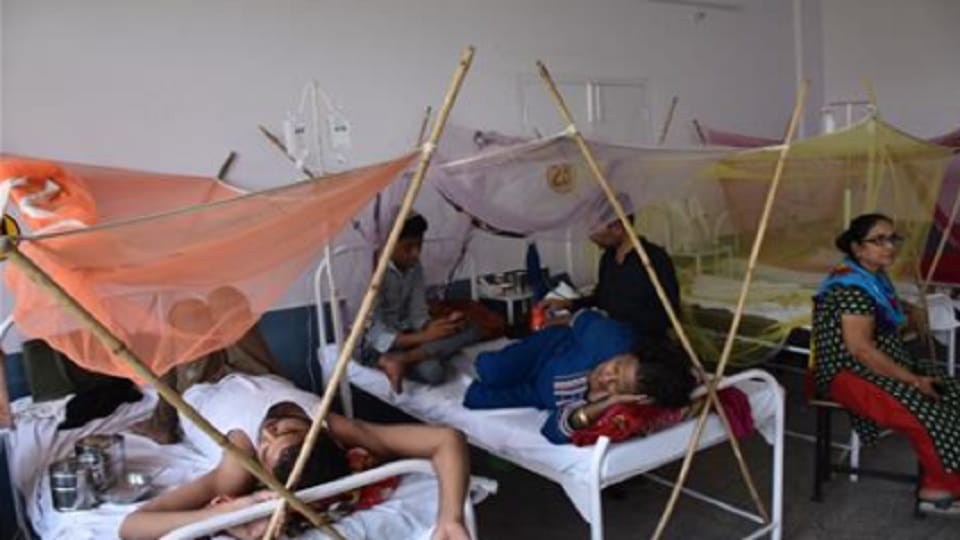Moradabad: Five more died due dengue and fever, 37 new patients found