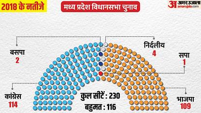 MP Election 2023 Check Previous Years Madhya Pradesh Result Trends In Terms Of Margin Updates in Hindi