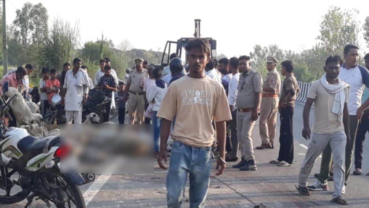 More 30 sheep have died in bus accident on Delhi Saharanpur Highway in up