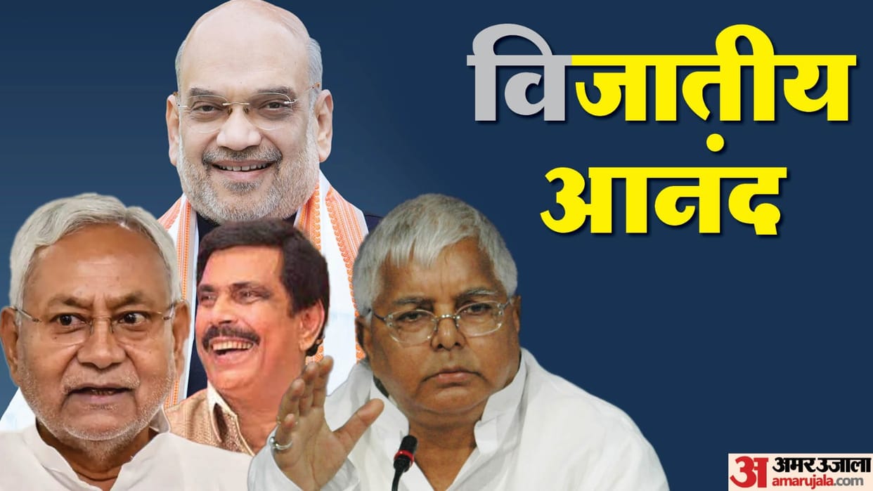 Bihar News : After Bihar Caste Census, Anand Mohan Singh election alliance possible with nitish kumar or bjp