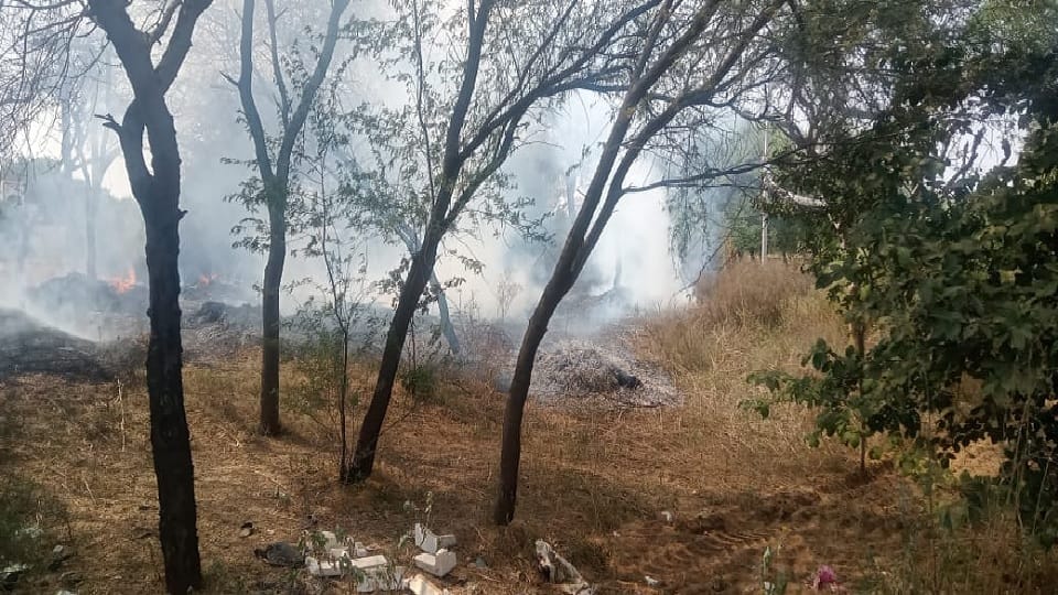 millet culms burnt to ashes in Mahendragarh, accident happened due to spark from electric wires