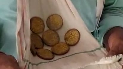 thug cheated the farmer by telling him that gold coins buried in farm