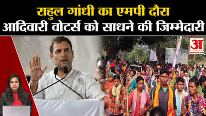 MP Election 2023: Rahul Gandhi will appeal to tribal voters, Vindhya visit important. Congress