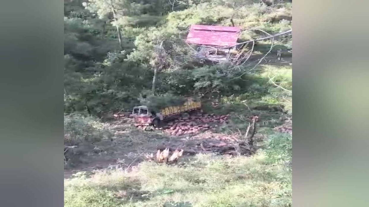 While trying to save animals, a truck filled with cylinders fell into a 100 feet deep ditch, driver injured