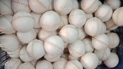 World Cup: Cricket players from all around the world are spinning ball made in Fitkari village, Meerut