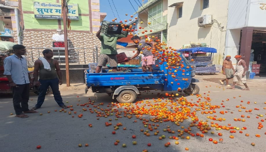farmers threw tomatoes in market after not getting fair price in Balrampur