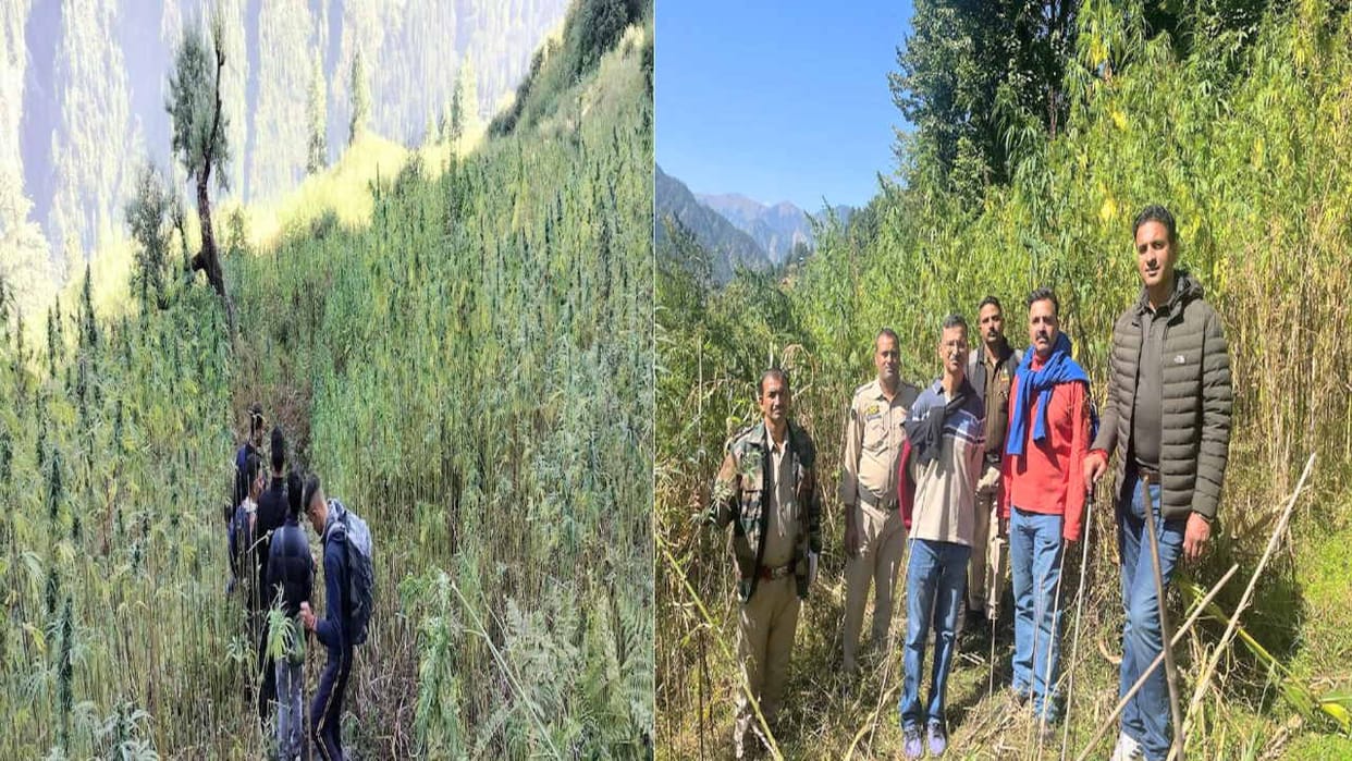 Police's surgical strike against charas mafia, 34 people arrested after raiding six places