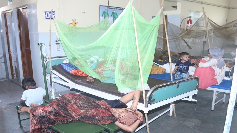 17 more dengue patients found, treated on beds without sheets