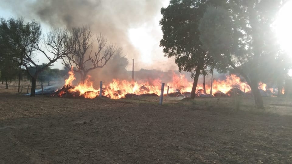 Fire broke out due to short circuit in village Budin in Mahendragarh